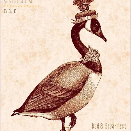 Madame Canard Baveno Luaran gambar