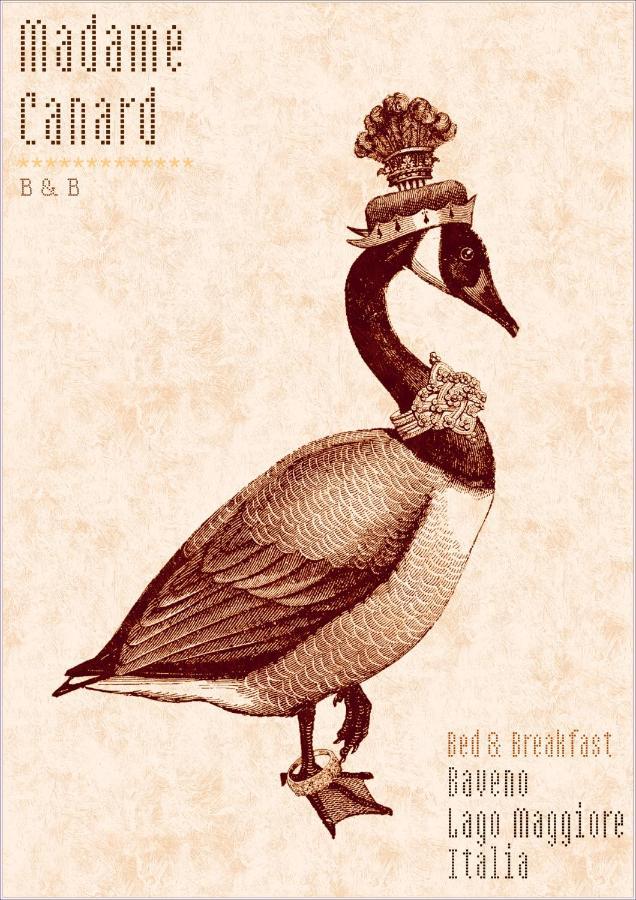 Madame Canard Baveno Luaran gambar